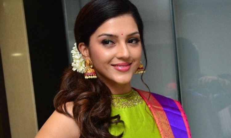 Mehreen Pirzada Wiki and Biography